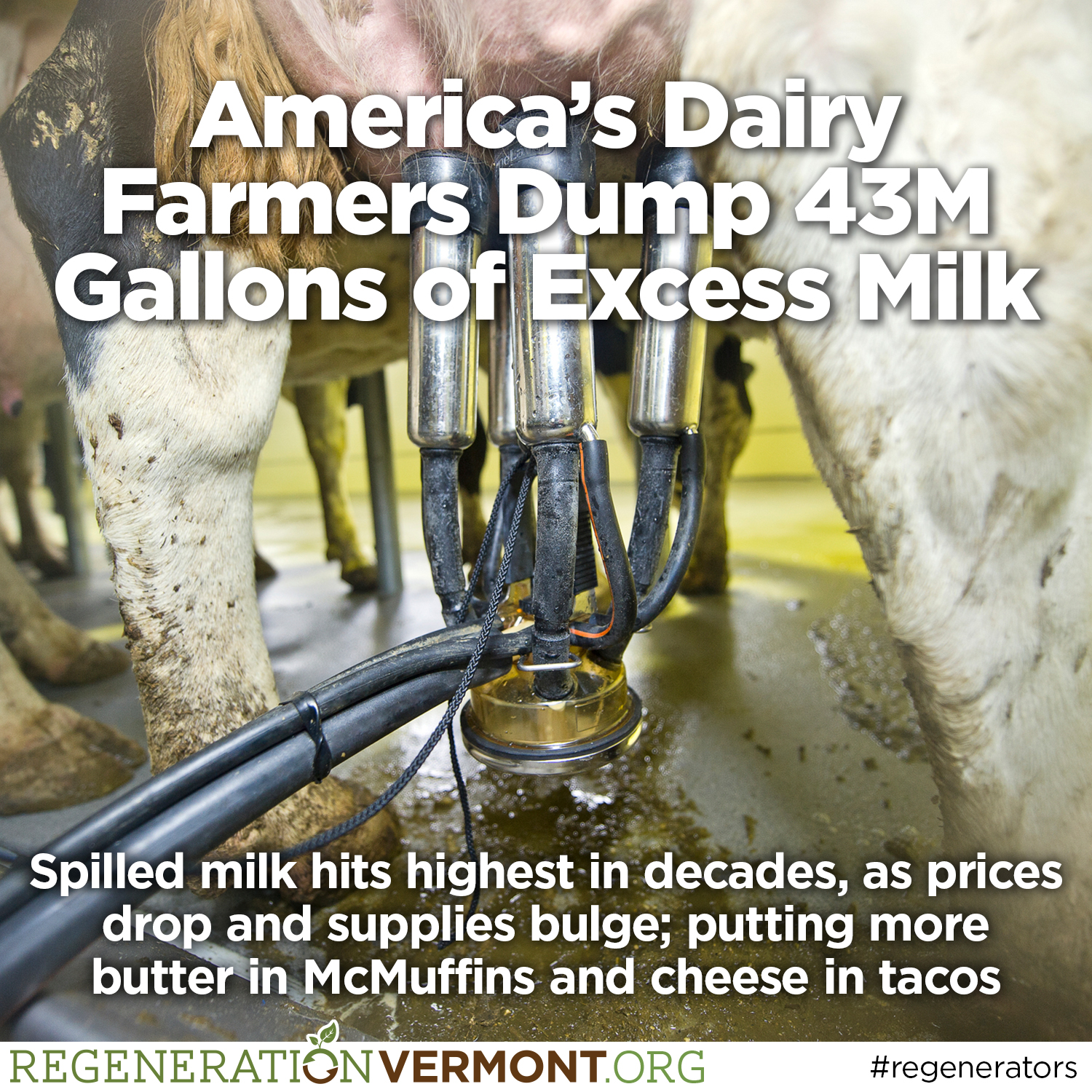 Why Would Farmers Dump Milk at Willie Ickes blog