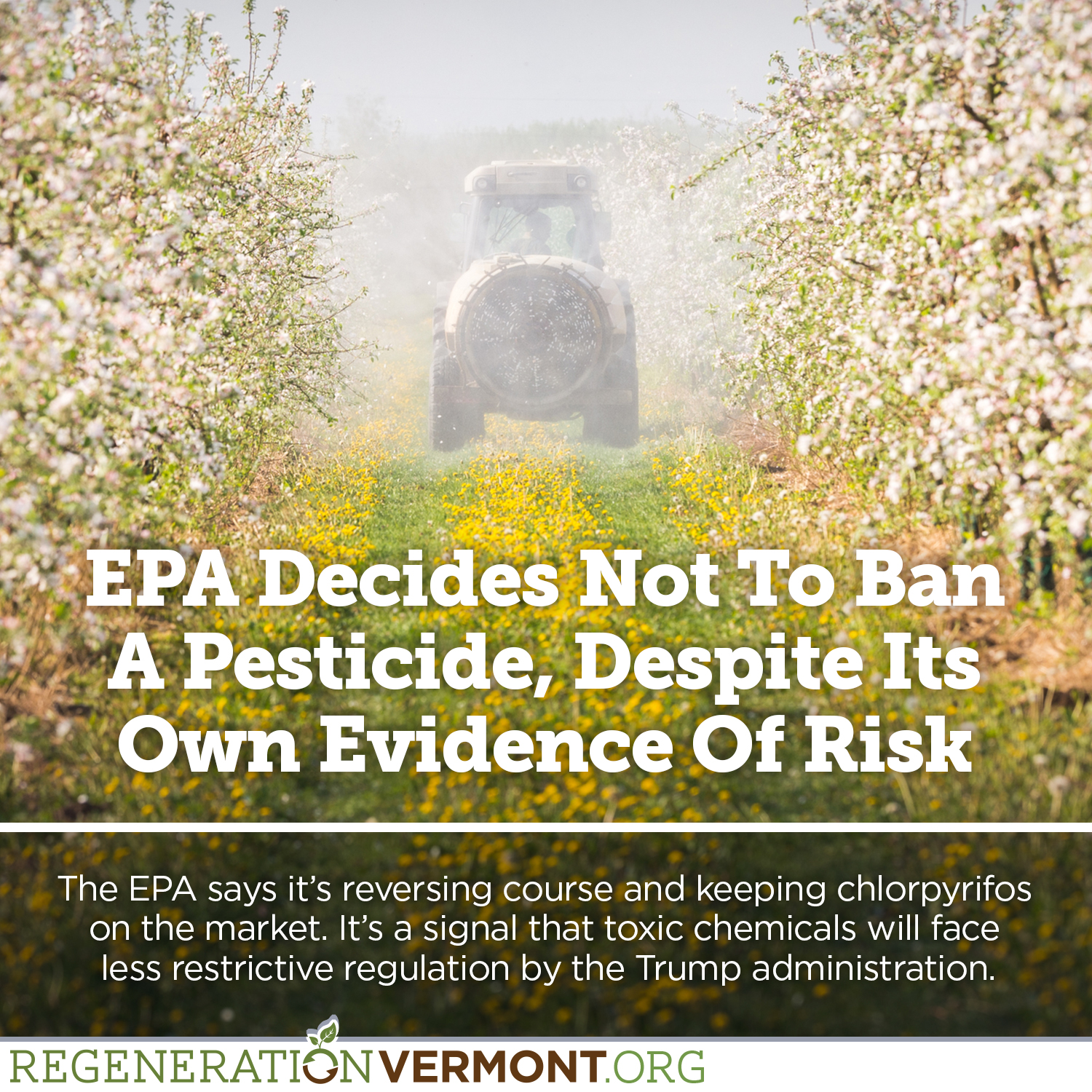 Image result for epa ban